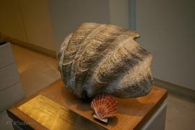 LONDYN - DZIEŃ 2 / image_0364.jpg