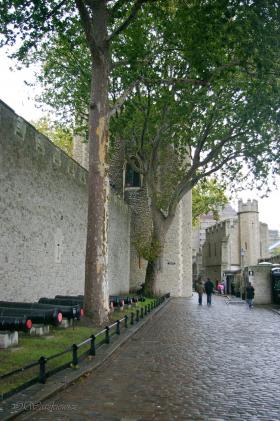 LONDYN - DZIEŃ 3 / image_0468.jpg