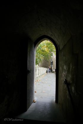 LONDYN - DZIEŃ 3 / image_0498.jpg