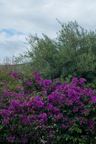 PLAŻOWA SPERLONGA / dsc2241.jpg