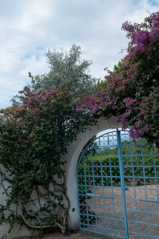 PLAŻOWA SPERLONGA / dsc2242.jpg