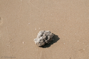 PLAŻOWA SPERLONGA / dsc2401.jpg