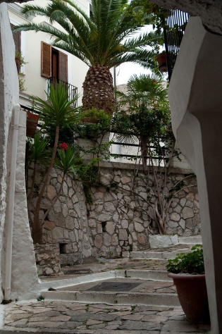 PLAŻOWA SPERLONGA / dsc2601.jpg