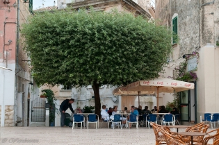 PLAŻOWA SPERLONGA / dsc2607.jpg
