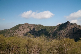 WEZUWIUSZ / dsc3737.jpg