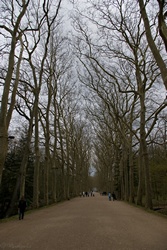 ZAMKI NAD LOARĄ / image_0061.jpg