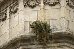 ZAMKI NAD LOARĄ / image_0128.jpg