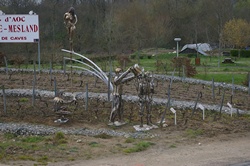 ZAMKI NAD LOARĄ / image_0161.jpg