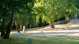 2018 - GOLM / image13.jpg