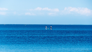 2018 - GOLM / image32.jpg